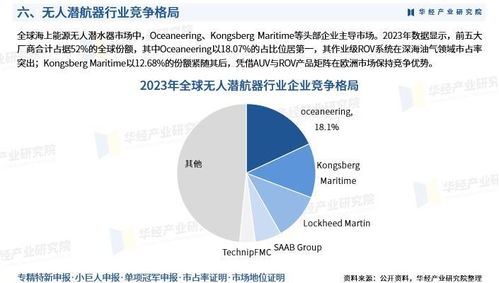 2025年中國(guó)無(wú)人潛航器行業(yè)市場(chǎng)深度分析及投資戰(zhàn)略咨詢報(bào)告