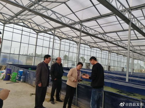 安徽宿州泗縣畜牧水產中心領導班子深入一線，開展工廠化水產養殖市場專題調研